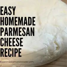 homemade parmesan cheese recipe with text overlay