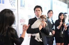 a man in a suit holding a small dog at an awards event with other people around him