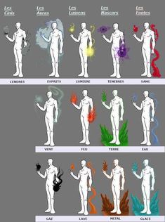 the different types of human body shapes and their functions in each individual's body