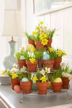 there are many potted plants and eggs in the trays on the table with flowers