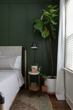 a bedroom with green walls and a white bed in the corner next to a potted plant