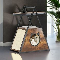 a cat sitting in a wooden box with a mirror on the front and side, next to a potted plant