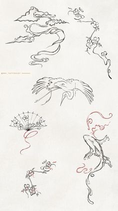 several drawings of birds and flowers on white paper