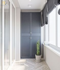 an empty hallway with blue closets and a potted plant in the corner next to it