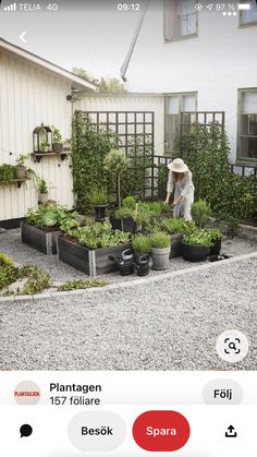 an image of a person tending to plants in the garden on their cell phone screen