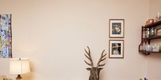 there is a deer head in the corner of this room with pictures on the wall