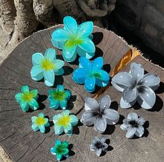 Flower Jewelry Designs, Hair Accessories Collection, Claw Hair Clips, Hair Accessories Clips, Diy Hair Bows, Flower Clip, Flower Hair Clips, Simple Jewelry, Rose Bouquet