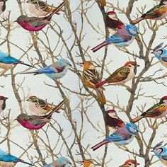 a flock of birds sitting on top of a tree