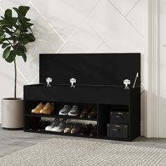 a black shoe rack with several pairs of shoes on it next to a potted plant