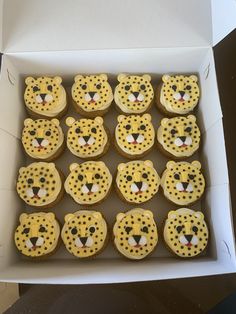 a box filled with cupcakes decorated to look like cheetah and leopard heads