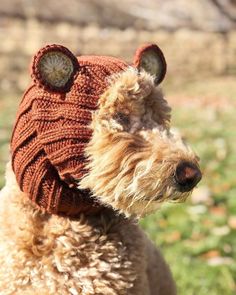 a dog wearing a knitted hat with ears on it's head in the grass