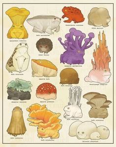 an illustration of different types of mushrooms