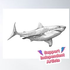 High-quality posters to hang in dorms, bedrooms or offices. Multiple sizes are available. Printed on 185gsm semi gloss poster paper. Additional sizes are available. This Great White Shark design is part of an Endangered Species art collection. More info about the artist: Endangered Species Art, Shark Design, Shark Art, Line Sketch, White Sharks, Great White Shark, Great White, Endangered Species, Art Illustration