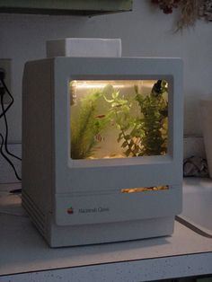 an old computer sitting on top of a desk with plants growing out of the screen