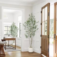 a living room filled with furniture and a potted plant on top of a table