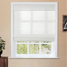 a window with white blinds in a living room next to a potted plant on a table