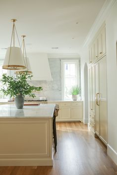 a large kitchen with an island in the middle and a potted plant on top