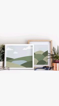 a shelf with some plants and pictures on it