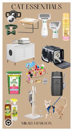 an image of cat essentials poster