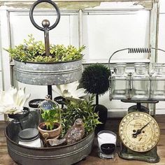 an assortment of potted plants on top of a wooden table next to a clock