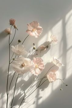 some pink flowers are in a vase on a table with the shadow of a wall behind them