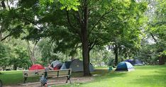 several tents are set up in the park near a bench and trees with bicycles parked nearby