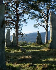 several large rocks in the middle of a grassy area with trees on each side and mountains in the background