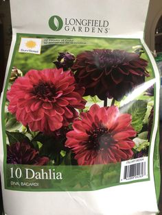 a bag of dahlia flowers sitting on top of a table