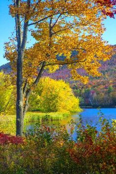 a lake surrounded by trees in the fall