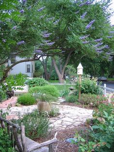 the garden is full of flowers and trees