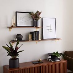 a living room filled with furniture and plants on top of wooden shelves next to a window