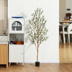 a small tree sitting in the corner of a room next to a cabinet and counter