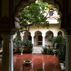 an outdoor courtyard with potted plants and trees