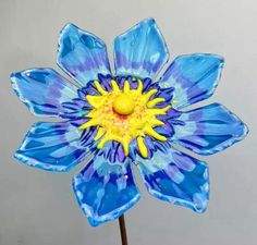 a blue flower with yellow center sitting on top of a table