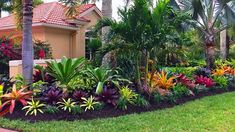 tropical garden with palm trees and flowers in front of a house