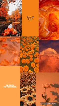 an orange and yellow collage with flowers, trees, clouds and butterflies on it