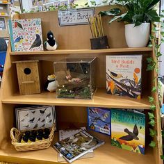 the bookshelf is filled with children's books and stuffed animals for display