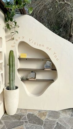 a cactus in a pot next to a white wall with writing on it and shelves