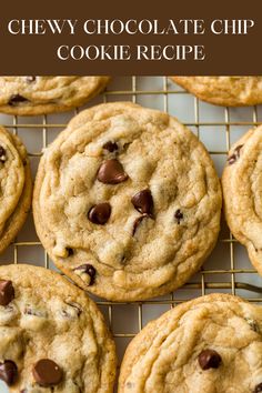 Soft, moist and loaded with chocolate. There's no chilling required and you'll get perfect cookies every time. Chocolate Chip Cookies Sally’s Baking, Chocolate Chip Cookies Natasha Kitchen, Natashas Kitchen Chocolate Chip Cookies, The Best Chocolate Chip Cookie Recipe Ever, All Recipes Chocolate Chip Cookies, Best Crispy Chewy Chocolate Chip Cookies, Copycat Tollhouse Chocolate Chip Cookies, Chocolate Chip Cookies Handle The Heat, The Best Chocolate Chip Cookie Recipe Ever Joy Food Sunshine