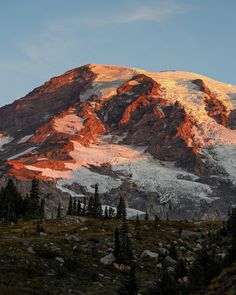 a snow covered mountain with trees in the foreground