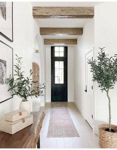 an entry way with a potted plant and pictures hanging on the wall next to it