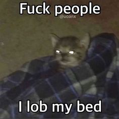 a cat laying on top of a bed covered in a blanket with caption that reads, i lob my bed