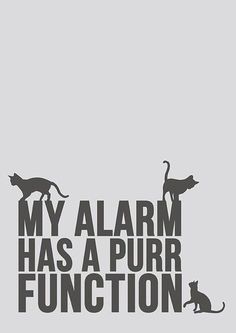 an image of two cats and a dog with the words my alarm has a purr function