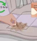 4 Easy Ways to Get Bad Smells out of Carpet - wikiHow Clean Your Car, Carpet Cleaning, New Carpet, Diy Hacks, How To Clean Carpet, Cleaning Products, First Day, Home Remedies