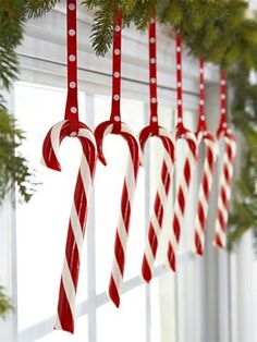 red and white candy canes hanging from a window