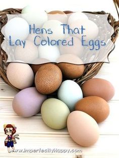 a basket full of eggs with the words hens that lay colored eggs