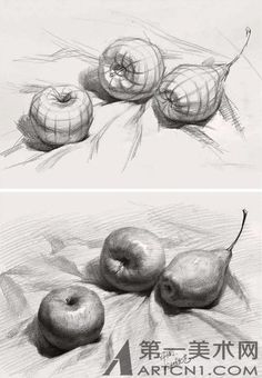 two drawings of apples and onions on paper