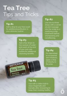 Doterra Tea Tree Oil Uses, Doterra Tea Tree Oil, Tea Tree Essential Oil Benefits, Cabin Essentials, Doterra Tea Tree, Tea Tree Oil Benefits, Tea Tree Oil Uses