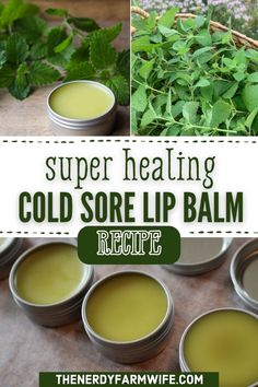 Use this DIY super healing lemon balm cold sore lip balm recipe to help fight & prevent cold sores. It also makes a great all-purpose lip balm for everyday use! Get Rid Of Cold, Herbal Remedies Recipes, Essential Oils For Colds, Cold Sores