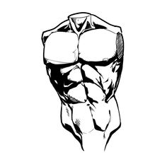 a black and white drawing of a muscular man's torso, showing his muscles